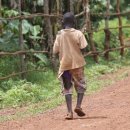 운모농장 이미지