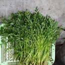 윤경농장 이미지