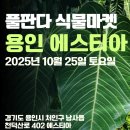 용인 풀판다 식물마켓 에스티아 오픈런 후기