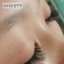 슈슈속눈썹 - 세종특별자치시 | 슈슈속눈썹