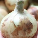 용진환경 이미지