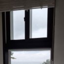 여울애견 이미지