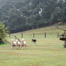 재현농장 이미지