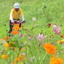 한강 자전거도로5 이미지