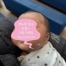 신생아 예방접종 | BCG 피내용 경피용 차이, B형간염 접종후기