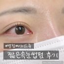 비비드 속눈썹 | [병점] 비비드쥬 :: 짧은 속눈썹펌 성공후기 🩷