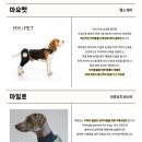띵크헬스 이미지