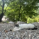 해여림 빌리지 이미지