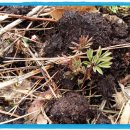 영광노래연습장 이미지