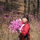 도래미마을 이미지