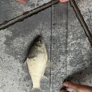 덕송지낚시터 이미지