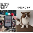 캔모아금촌점