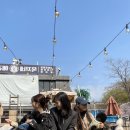 옥자네애견카페 유치원 호텔 미용 이미지