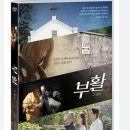기독교방송문화부 | 기독교 영화 '부활: 그 증거' 줄거리, 후기, 비하인드