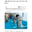 [행복대학] 혼밥과 음식선물 | [블챌] 10월 연휴 기록