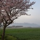 저단43 이미지