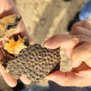 더��(THE) | 사우디 특집: 사우디 아라비아 여행기. 엣지 오브 더 월드 (Edge of the world) 후기