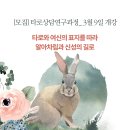 [모집]타로상담연구과정(1년과정): 3월9일개강. 타로와 여신의 표지를 따라 알아차림과 신성의 길로 이미지