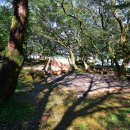 한라산국립공원관음사지구야영장 이미지