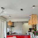 마이오리진 이미지