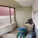 인천병방초 이미지