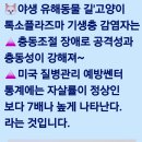 (유)청정환경건설 Daum카페