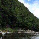 덕동자동차야영장 이미지