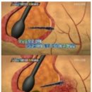 닥터스리뉴 이미지