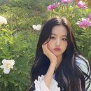 만년 이미지