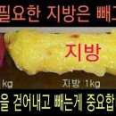 점핑업 이미지