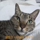 더킹마트 - 부평구 이규보로 28 | 기간. 세븐일레븐 고카페인 음료수 할인행사. 몬스터 VS 핫식스더킹. 저칼로리 저당만 골라 구입한 후기.