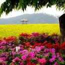 연수중학교 이미지