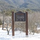 향기원 풍차 네이버블로그