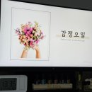 🌿 용인 원데이클래스, 나만의 감정오일로 힐링하는 '마인드루틴' 후기