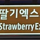 엑스포대로 이미지