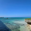 섬띠농장 | VS 이시가키지마 _ 일본의 제주도, 오키나와 부속 섬들 비교 (숙소, 놀거리, 맛집, 스노쿨링, 투어, 추천)