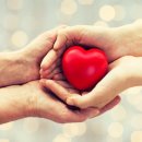 자유로셀프주유소 이미지