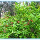 중랑천 산책로 이미지