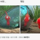 해연파트너스 이미지