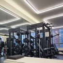 THE 강해짐 이미지