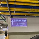 센텀중앙로 | 이렇게 다양한데 맛까지 좋다고? 센텀 뷔페 끝판왕 더파티 센텀점 솔직 후기