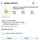 퍼피비스킷 네이버블로그