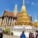 하정메디컬 이미지