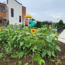 꼬맹스테이 이미지