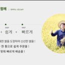 계룡마트 이미지