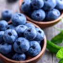 루루베리 이미지