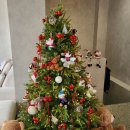 구공구공케이크 | 대전 도안동 구공 카페, 케이크 맛집 ' 유사'