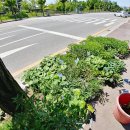 가나화원 이미지