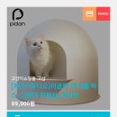 디비디비스튜디오 이미지