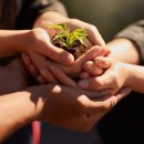 케이에스팜 이미지